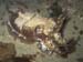 CRW_1971