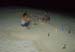Maldivas_08_050