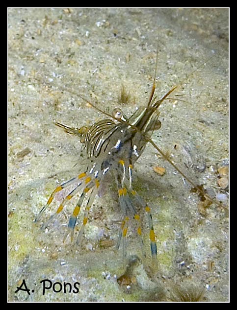 CRW_3792