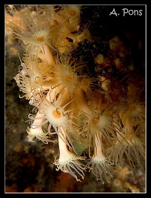 CRW_2585
