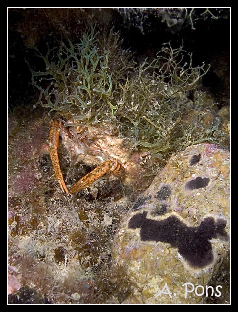 CRW_3347